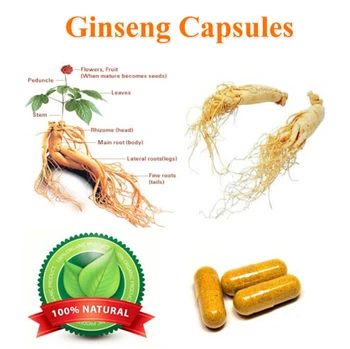 3Bag/lot)Ginseng Root Powder 500mg* 100 Caps Panax Ginseng Root Capsules Natural Herbal Improve Brain Memory Relieve Stress