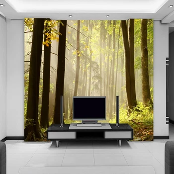 Custom 3D stereoscopic wallpaper mural landscape background wallpaper the living room sofa TV wall sunshine forest wall covering