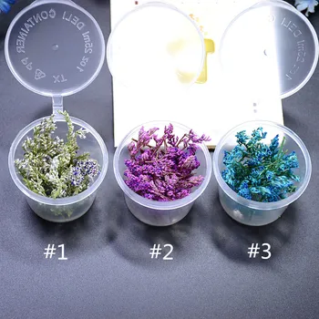 1 Box Sea Lavender Dried Flowers Nail Art DIY Glass Bottle Decor Preserved Flower With Box