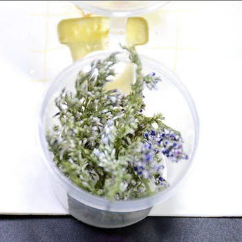 1 Box Sea Lavender Dried Flowers Nail Art DIY Glass Bottle Decor Preserved Flower With Box