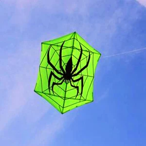 Large kite Hexagonal kite spider kite fabric nylon ripstop with kite reel line flying outdoor toys