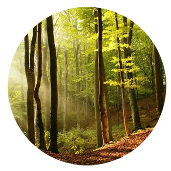 Latest HD Outside The Window Sunshine Forest Photo Mural 3D Stereo Nature Wallpaper Living Room Cafe Backdrop Wall Classic Decor