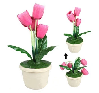 Regeneration Tulip,animate tulip/Stage flower magic -Dream of the tulip tulip tulip rebirth sleep