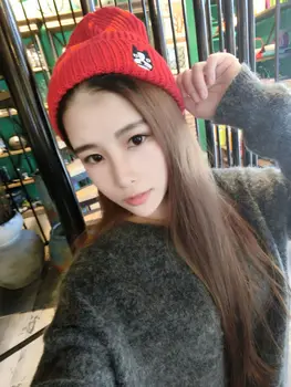 Kesebi 2017 New Fashion Autumn Winter Women Korean Cute Puppy Knitted Skullies Beanies Female Embroidery Dog Pattern Caps Hats