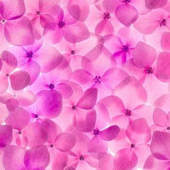 Romantic purple petal floor painting 3d flooring custom living room self-adhesive photo wallpaper flowers